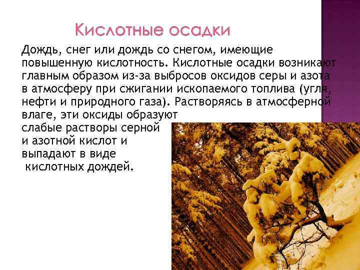 Дождь, снег или дождь со снегом, имеющие повышенную кислотность. Кислотные осадки возникают главным образом