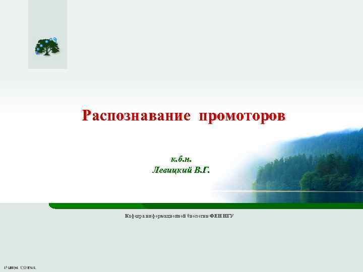 Распознавание промоторов к. б. н. Левицкий В. Г. Кафедра информационной биологии ФЕН НГУ 