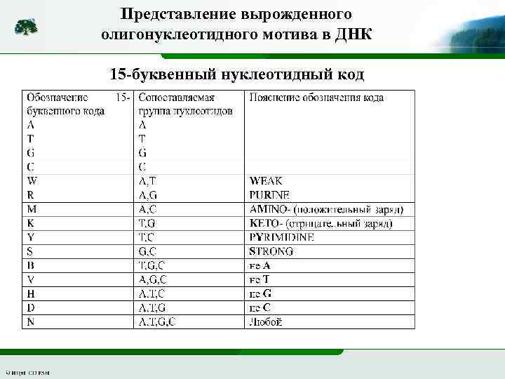 Представление вырожденного олигонуклеотидного мотива в ДНК 15 -буквенный нуклеотидный код 