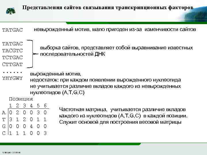 Представления сайтов связывания транскрипционных факторов невырожденный мотив, мало пригоден из-за изменчивости сайтов TATGAC TACGTC