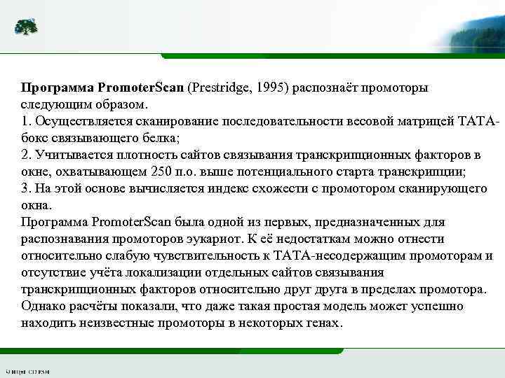 Программа Promoter. Scan (Prestridge, 1995) распознаёт промоторы следующим образом. 1. Осуществляется сканирование последовательности весовой