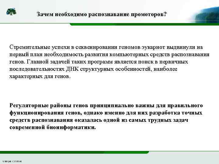 Зачем необходимо распознавание промоторов? Стремительные успехи в секвенировании геномов эукариот выдвинули на первый план