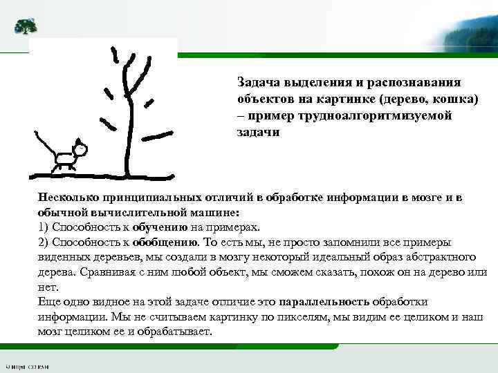 Задача выделения и распознавания объектов на картинке (дерево, кошка) – пример трудноалгоритмизуемой задачи Несколько