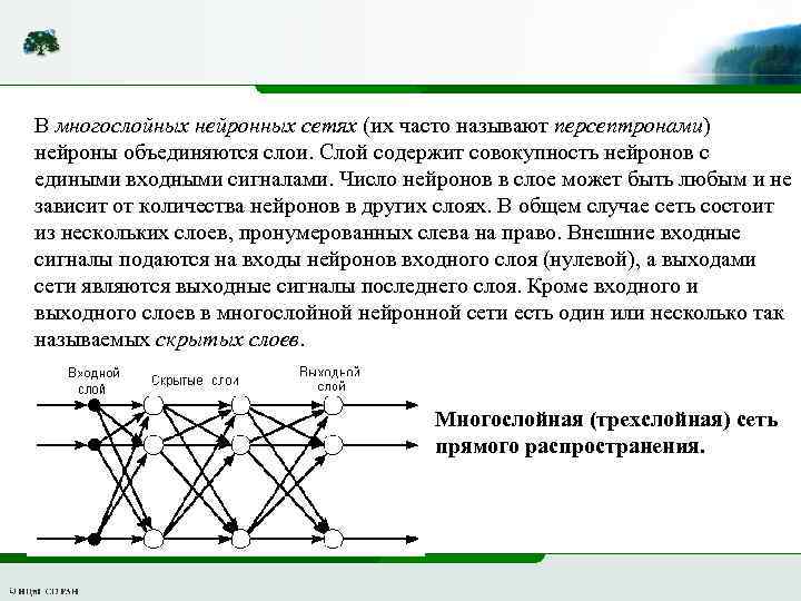 В многослойных нейронных сетях (их часто называют персептронами) нейроны объединяются слои. Слой содержит совокупность