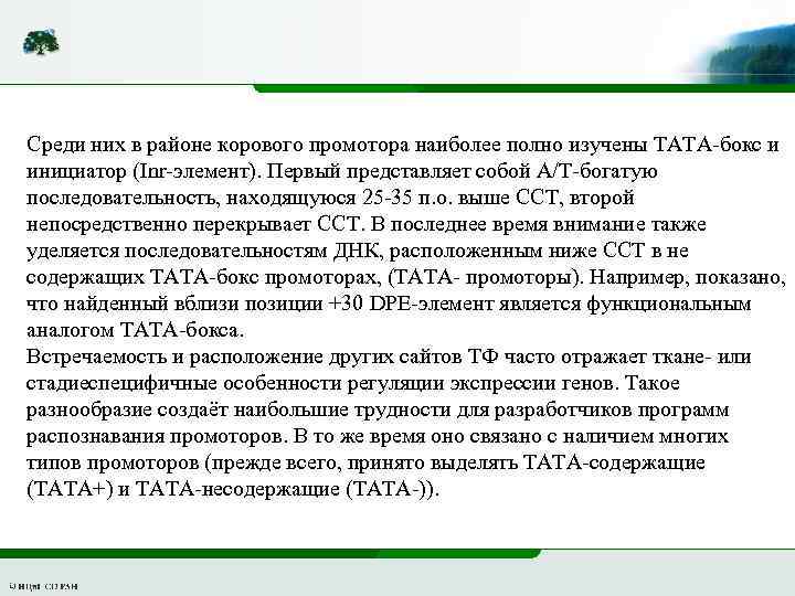 Среди них в районе корового промотора наиболее полно изучены ТАТА-бокс и инициатор (Inr-элемент). Первый