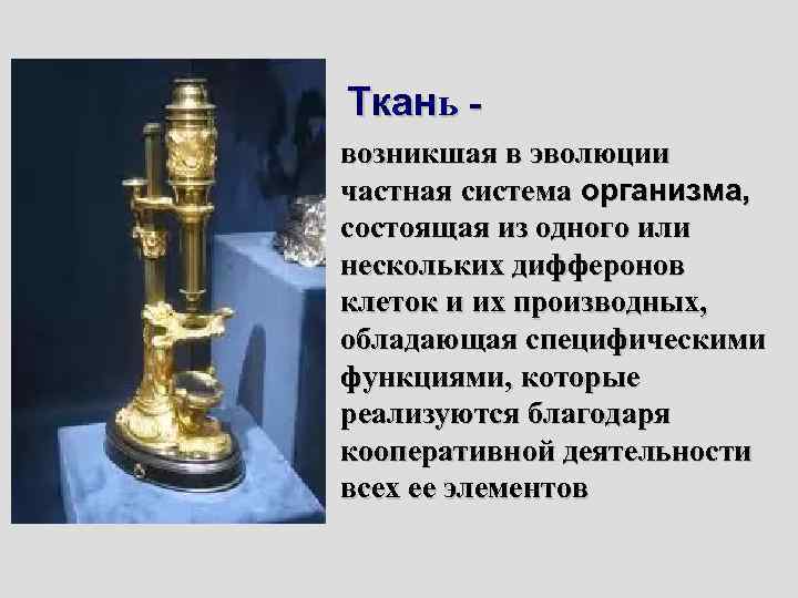 Ткань возникшая в эволюции частная система организма, состоящая из одного или нескольких дифферонов клеток