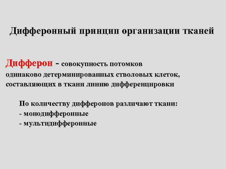 Дифферонный принцип организации тканей Дифферон - совокупность потомков одинаково детерминированных стволовых клеток, составляющих в
