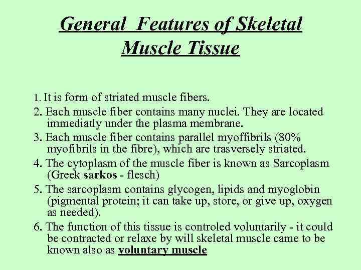 General Features of Skeletal Muscle Tissue 1. It is form of striated muscle fibers.