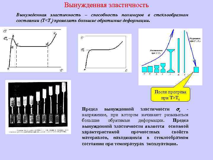 Вынужденная эластичность – способность полимеров в стеклообразном состоянии (Т<Тc) проявлять большие обратимые деформации. После