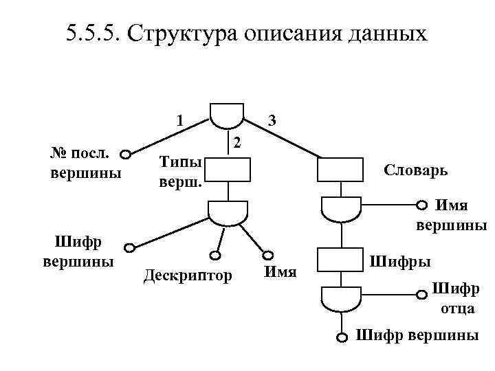 5. 5. 5. Структура описания данных 1 № посл. вершины Шифр вершины 3 2