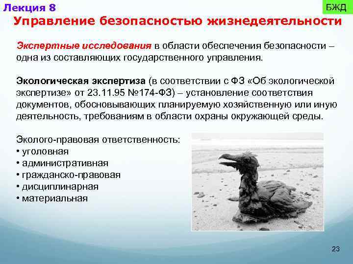 Лекция 8 БЖД Управление безопасностью жизнедеятельности Экспертные исследования в области обеспечения безопасности – одна