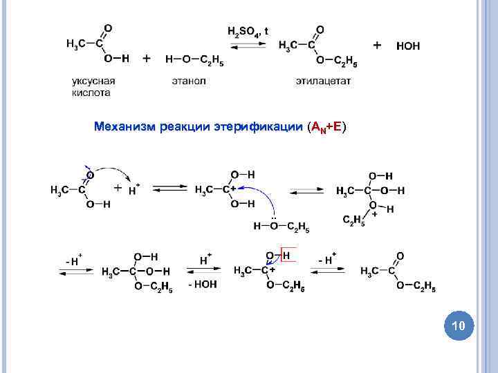 Механизм реакции этерификации (AN+E) 10 