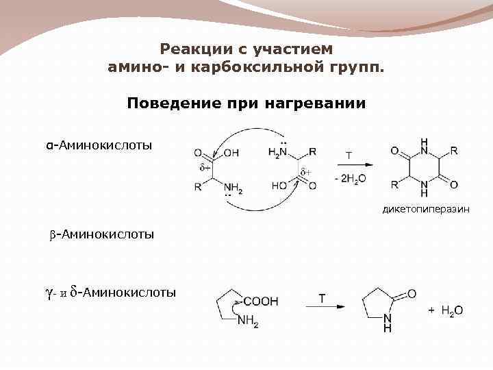 Реакции с участием амино- и карбоксильной групп. Поведение при нагревании α-Аминокислоты дикетопиперазин β-Аминокислоты γ-