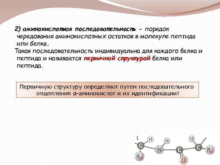 2) аминокислотная последовательность - порядок чередования аминокислотных остатков в молекуле пептида или белка. Такая
