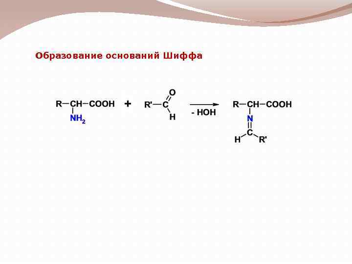 Образование оснований Шиффа 