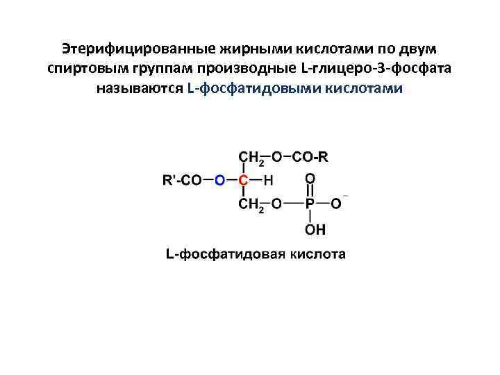 Схема образования фосфатидной кислоты содержащей остатки арахиновой и олеиновой кислот