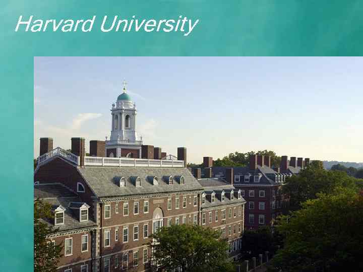 Harvard University 