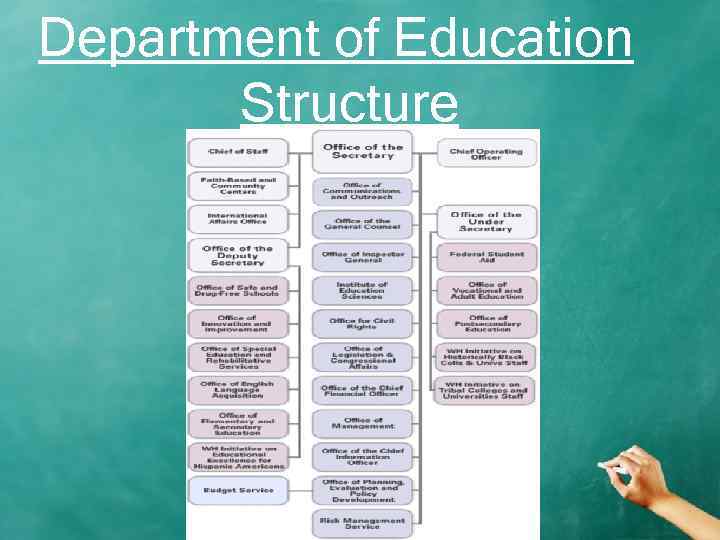 Department of Education Structure 