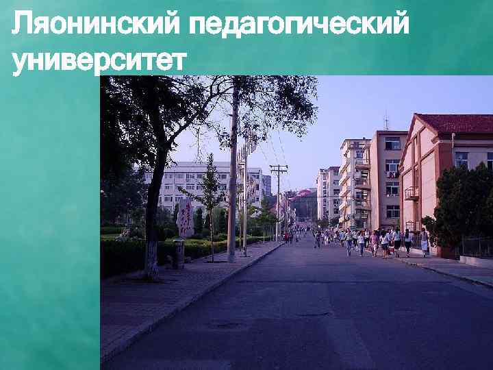 Ляонинский педагогический университет 