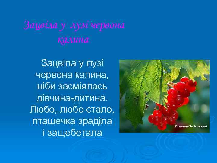 Калина слова. Ой у лузі Червона Калина. Ой у Лузи Лузи Червона Калина. Тарас Шевченко Червона Калина. Ой у лузі Червона Калина гимн.