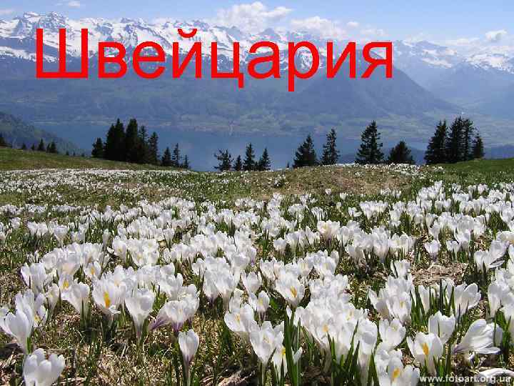 Швейцария 