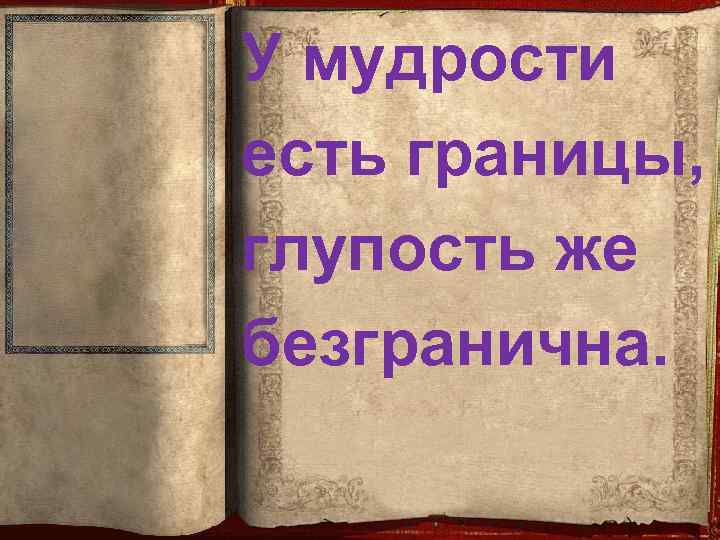У мудрости есть границы, глупость же безгранична. 