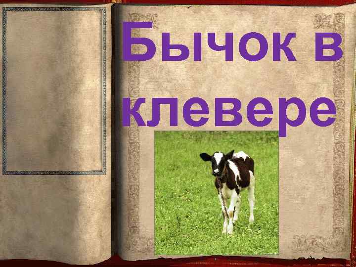 Бычок в клевере 