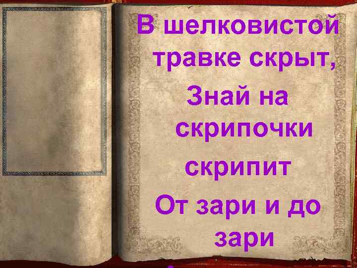 В шелковистой травке скрыт, Знай на скрипочки скрипит От зари и до зари 