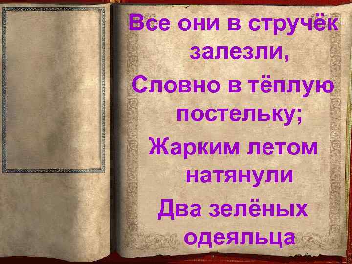 Все они в стручёк залезли, Словно в тёплую постельку; Жарким летом натянули Два зелёных