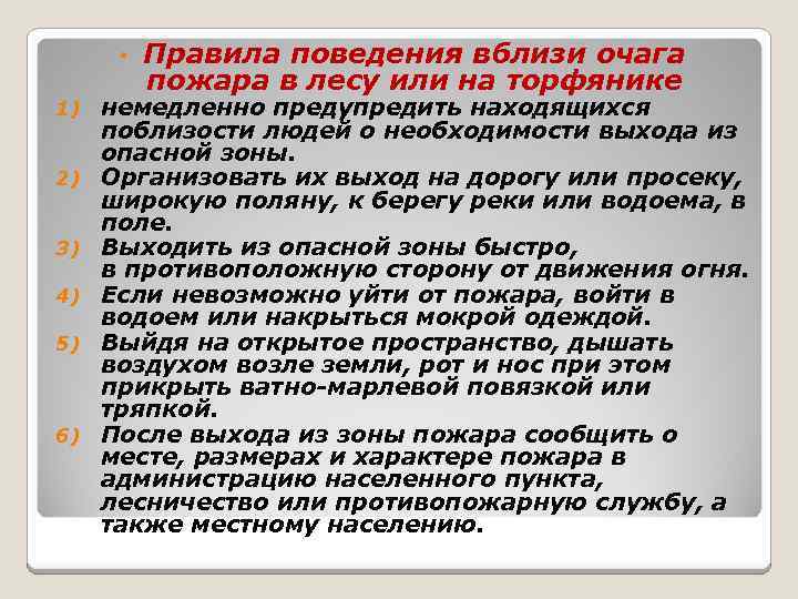 План действий если вы оказались в лесу вблизи очага пожара