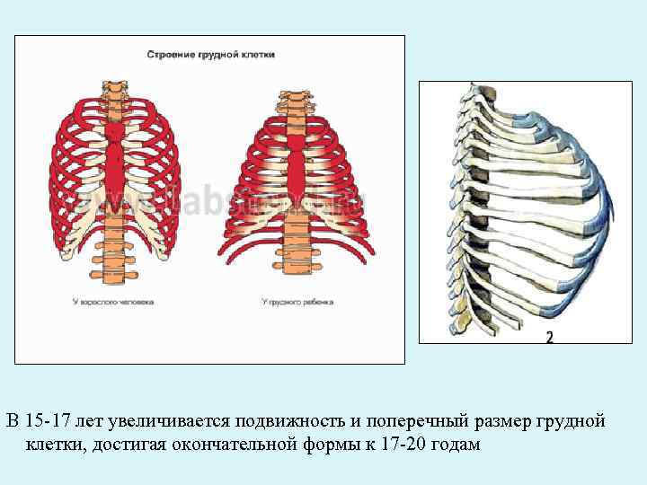 Изменение объема грудной клетки