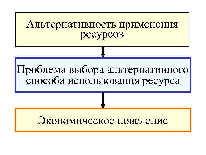 Альтернативность применения ресурсов Проблема выбора альтернативного способа использования ресурса Экономическое поведение 