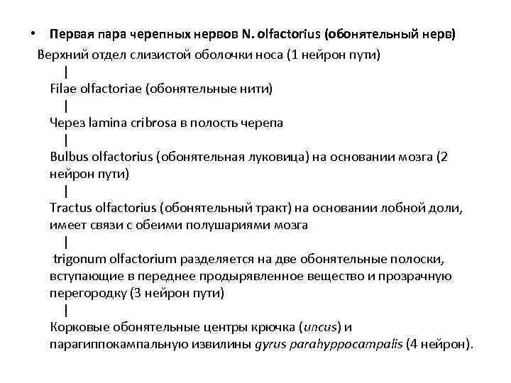  • Первая пара черепных нервов N. olfactorius (обонятельный нерв) Верхний отдел слизистой оболочки