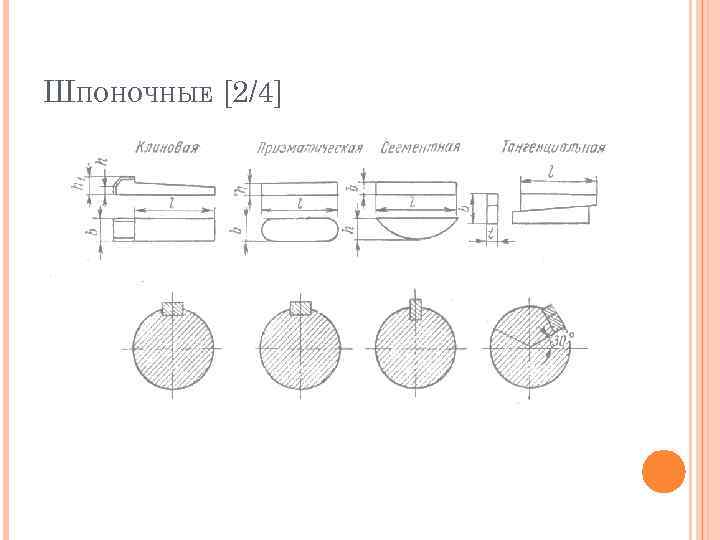 ШПОНОЧНЫЕ [2/4] 