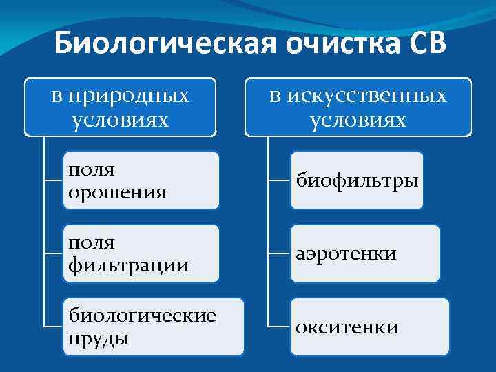 Биологическая очистка СВ в природных условиях в искусственных условиях поля орошения биофильтры поля фильтрации