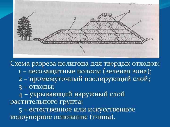  Схема разреза полигона для твердых отходов: 1 – лесозащитные полосы (зеленая зона); 2