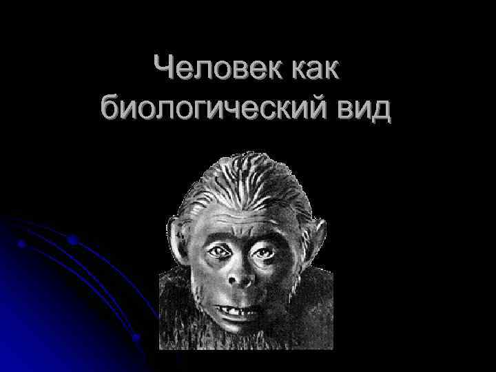 Человек как биологический вид 