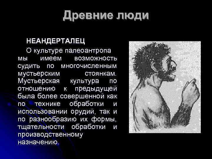 Древние люди НЕАНДЕРТАЛЕЦ О культуре палеоантропа мы имеем возможность судить по многочисленным мустьерским стоянкам.