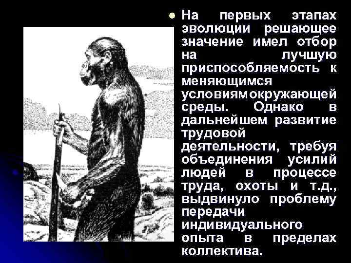 l На первых этапах эволюции решающее значение имел отбор на лучшую приспособляемость к меняющимся