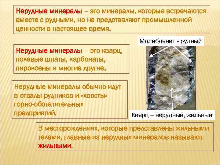 Минеральный обмен презентация