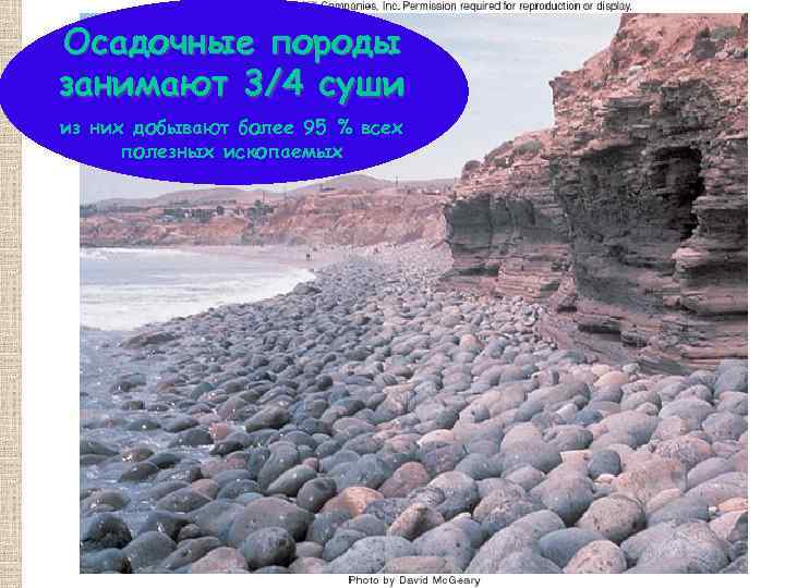 Осадочные породы занимают 3/4 суши из них добывают более 95 % всех полезных ископаемых