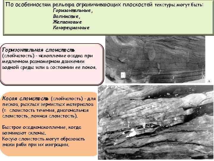 По особенностям рельефа ограничивающих плоскостей текстуры могут быть: Горизонтальные, Волнистые, Желваковые Конкреционные Горизонтальная слоистость