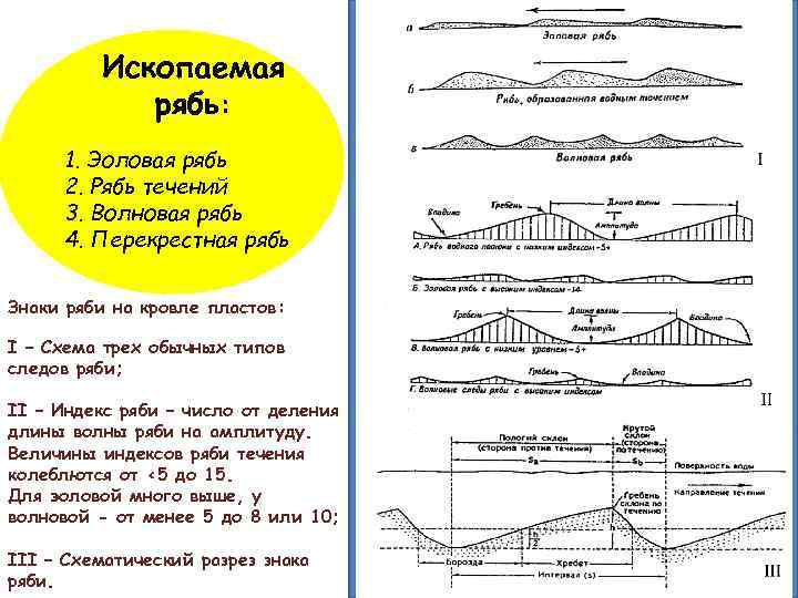 Ископаемая рябь: 1. Эоловая рябь 2. Рябь течений 3. Волновая рябь 4. Перекрестная рябь