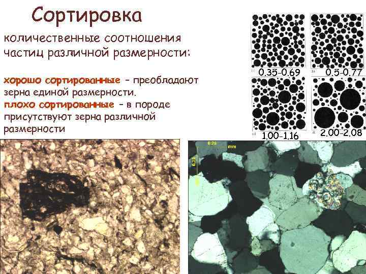 Сортировка количественные соотношения частиц различной размерности: хорошо сортированные – преобладают зерна единой размерности. плохо