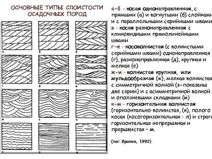ОСНОВНЫЕ ТИПЫ СЛОИСТОСТИ ОСАДОЧНЫХ ПОРОД а-б - косая однонаправленная, с прямыми (а) и вогнутыми