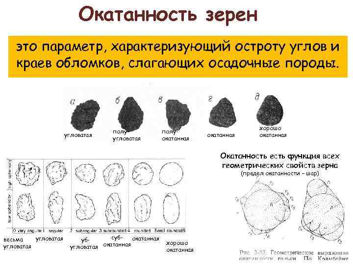 Окатанность зерен это параметр, характеризующий остроту углов и краев обломков, слагающих осадочные породы. угловатая