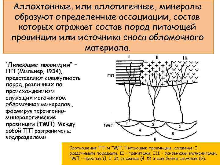Аллохтонные, или аллотигенные, минералы аллотигенные образуют определенные ассоциации, состав которых отражает состав пород питающей