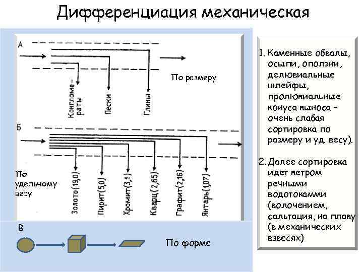 Дифференциация механическая По размеру По удельному весу В По форме 1. Каменные обвалы, осыпи,