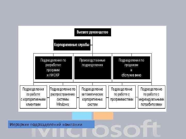 Иерархия подразделений компании 