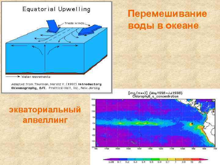 Перемешивание воды в океане экваториальный апвеллинг 